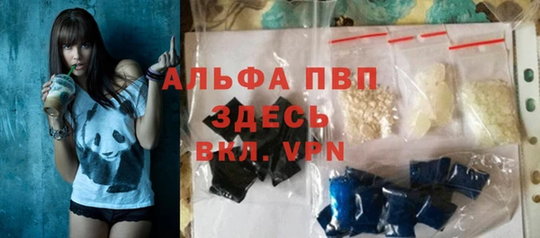 стаф Алексин