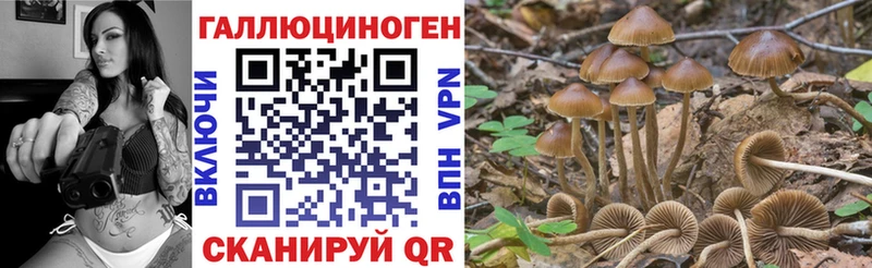 Псилоцибиновые грибы прущие грибы  Муравленко 